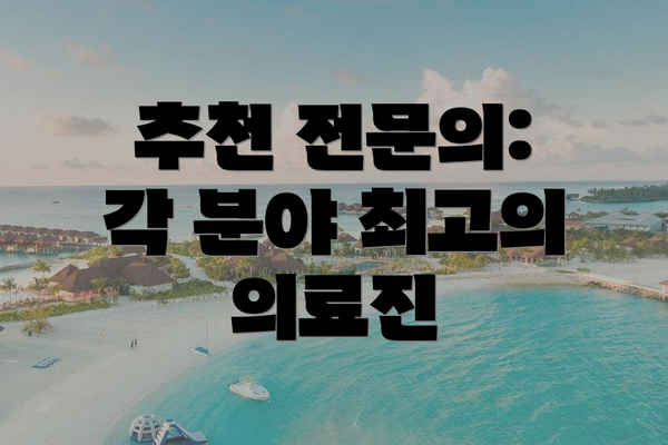 추천 전문의: 각 분야 최고의 의료진