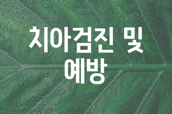 치아검진 및 예방