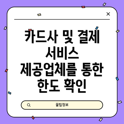 카드사 및 결제 서비스 제공업체를 통한 한도 확인