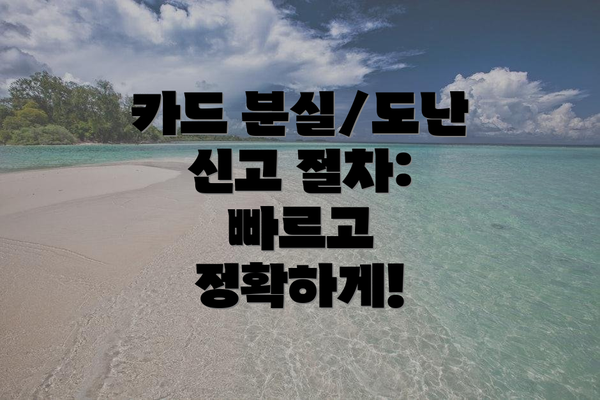 카드 분실/도난 신고 절차: 빠르고 정확하게!