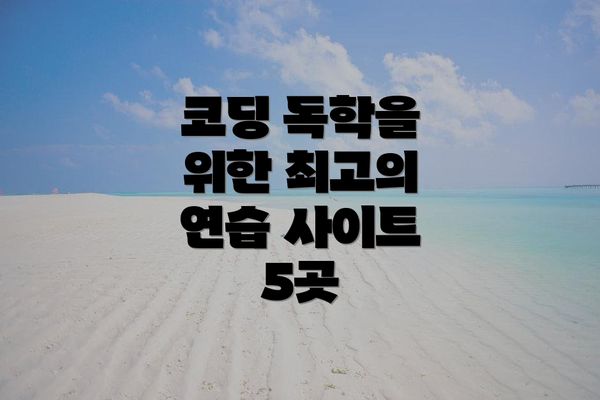코딩 독학을 위한 최고의 연습 사이트 5곳