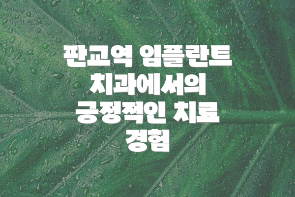 판교역 임플란트 치과에서의 긍정적인 치료 경험