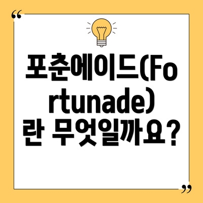 포춘에이드(Fortunade)란 무엇일까요?