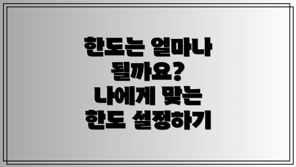 한도는 얼마나 될까요?  나에게 맞는 한도 설정하기