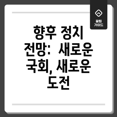 향후 정치 전망:  새로운 국회, 새로운 도전