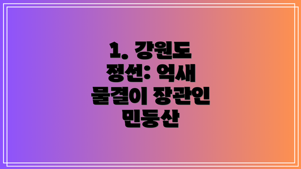 1. 강원도 정선: 억새 물결이 장관인 민둥산