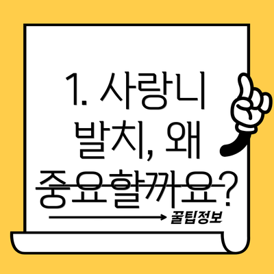 1. 사랑니 발치, 왜 중요할까요?