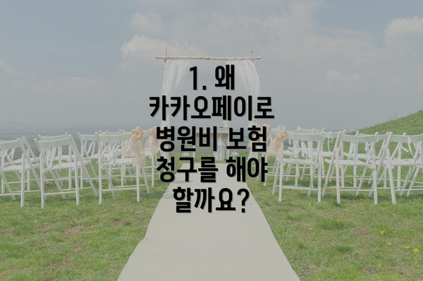 1. 왜 카카오페이로 병원비 보험 청구를 해야 할까요?
