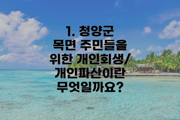 1. 청양군 목면 주민들을 위한 개인회생/개인파산이란 무엇일까요?
