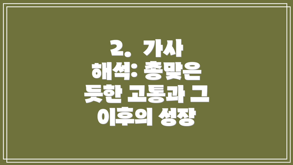 2.  가사 해석: 총맞은 듯한 고통과 그 이후의 성장