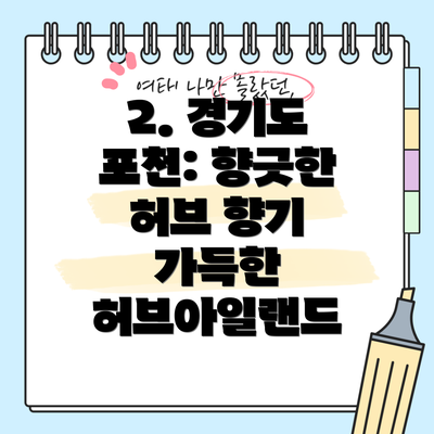 2. 경기도 포천: 향긋한 허브 향기 가득한 허브아일랜드