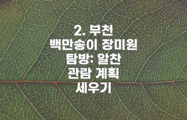 2. 부천 백만송이 장미원 탐방: 알찬 관람 계획 세우기