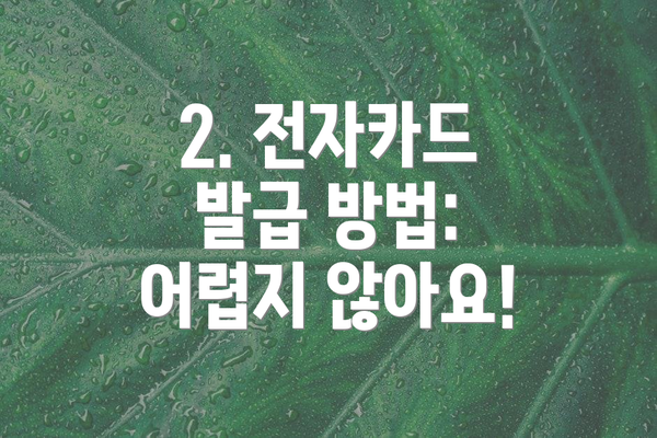 2. 전자카드 발급 방법: 어렵지 않아요!