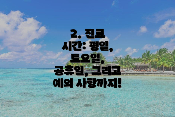 2. 진료 시간: 평일, 토요일, 공휴일, 그리고 예외 사항까지!