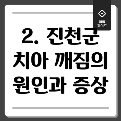 2. 진천군 치아 깨짐의 원인과 증상