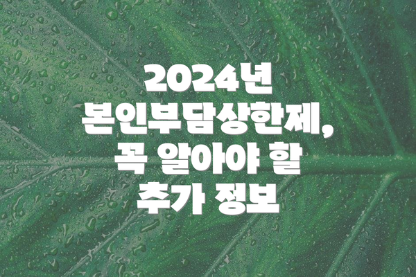 2024년 본인부담상한제, 꼭 알아야 할 추가 정보