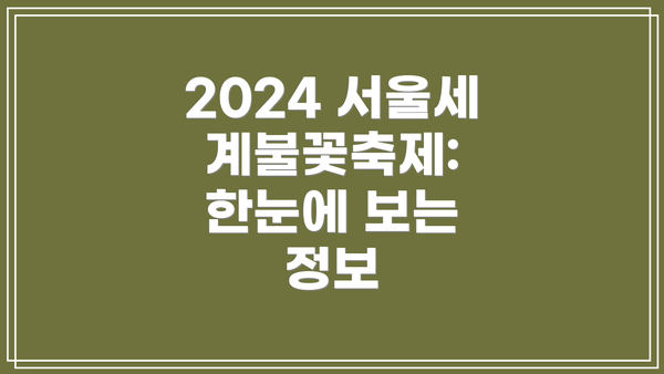 2024 서울세계불꽃축제: 한눈에 보는 정보