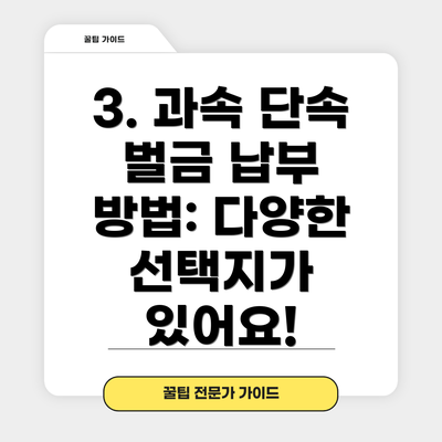 3. 과속 단속 벌금 납부 방법: 다양한 선택지가 있어요!