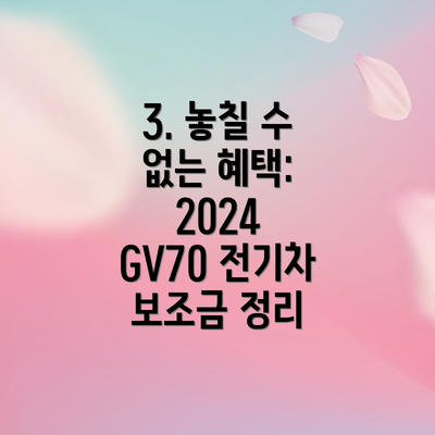 3. 놓칠 수 없는 혜택:  2024 GV70 전기차 보조금 정리