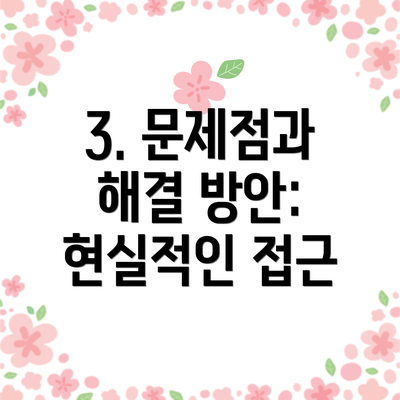 3. 문제점과 해결 방안: 현실적인 접근