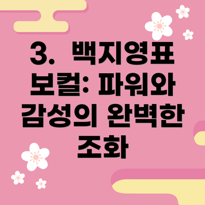 3.  백지영표 보컬: 파워와 감성의 완벽한 조화