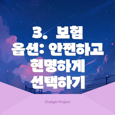 3.  보험 옵션: 안전하고 현명하게 선택하기