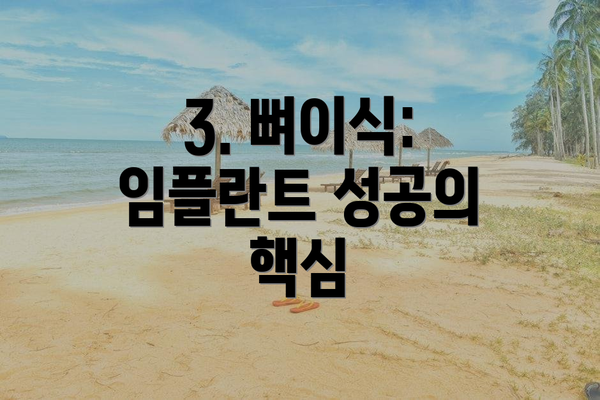 3. 뼈이식: 임플란트 성공의 핵심