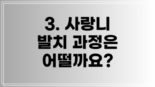 3. 사랑니 발치 과정은 어떨까요?