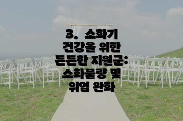 3.  소화기 건강을 위한 든든한 지원군: 소화불량 및 위염 완화