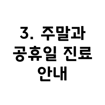 3. 주말과 공휴일 진료 안내