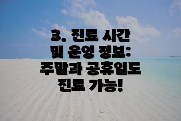 3. 진료 시간 및 운영 정보: 주말과 공휴일도 진료 가능!