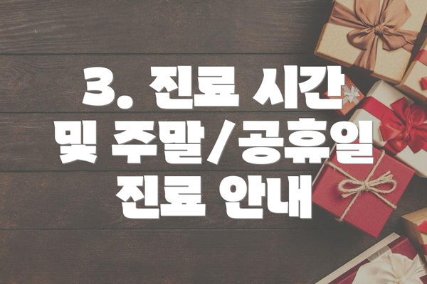 3. 진료 시간 및 주말/공휴일 진료 안내