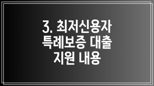 3. 최저신용자 특례보증 대출 지원 내용