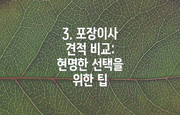 3. 포장이사 견적 비교: 현명한 선택을 위한 팁