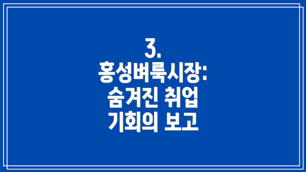 3. 홍성벼룩시장:  숨겨진 취업 기회의 보고