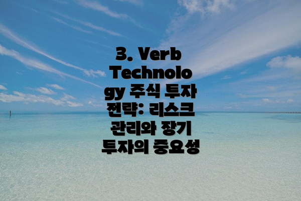 3. Verb Technology 주식 투자 전략: 리스크 관리와 장기 투자의 중요성