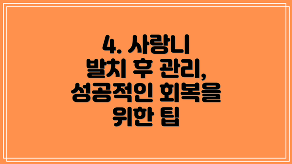 4. 사랑니 발치 후 관리, 성공적인 회복을 위한 팁
