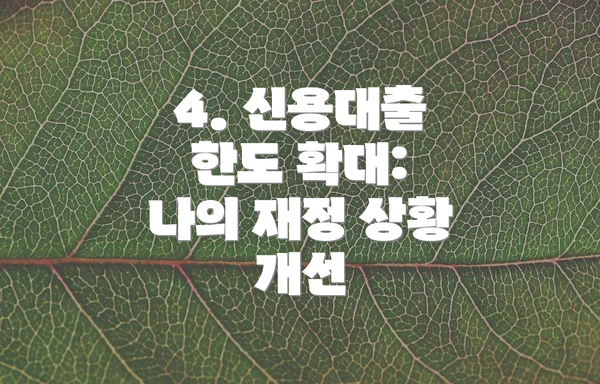 4. 신용대출 한도 확대:  나의 재정 상황 개선