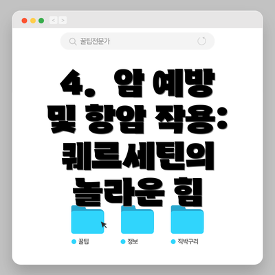 4.  암 예방 및 항암 작용: 퀘르세틴의 놀라운 힘