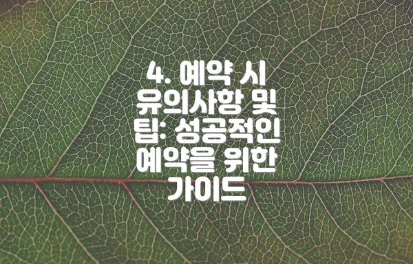 4. 예약 시 유의사항 및 팁: 성공적인 예약을 위한 가이드