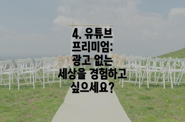 4. 유튜브 프리미엄:  광고 없는 세상을 경험하고 싶으세요?
