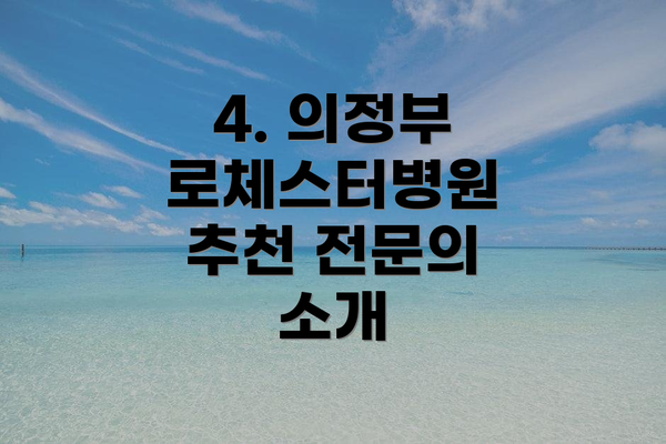 4. 의정부 로체스터병원 추천 전문의 소개