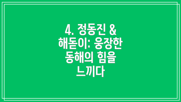 4. 정동진 & 해돋이: 웅장한 동해의 힘을 느끼다
