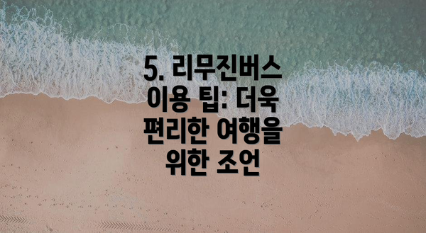5. 리무진버스 이용 팁: 더욱 편리한 여행을 위한 조언