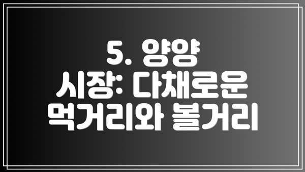 5. 양양 시장: 다채로운 먹거리와 볼거리