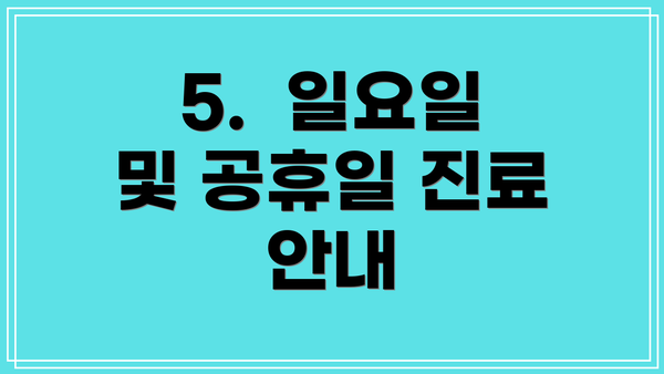 5.  일요일 및 공휴일 진료 안내