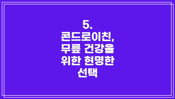 5. 콘드로이친, 무릎 건강을 위한 현명한 선택