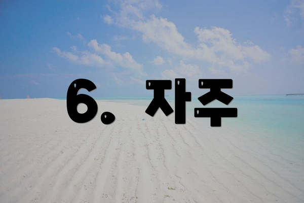 6.  자주