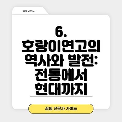 6. 호랑이연고의 역사와 발전: 전통에서 현대까지