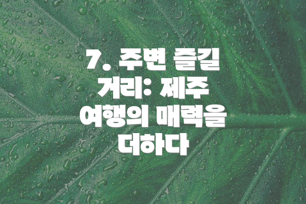 7. 주변 즐길 거리: 제주 여행의 매력을 더하다
